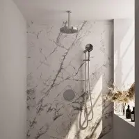 Brauer stripe thermostatische inbouw regendouche 3-weg rond set 48 met 25 cm douchekop en plafondarm en 3-standen handdouche en doucheslang en