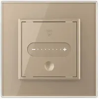 Livolo | Goud | SR | Slide-Dimmer | Wisselschakelaar | Smart Home -