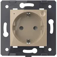 Livolo | Goud | SR | Module | Wandcontactdoos | Smart Home - Bekijk