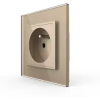 Livolo Wandcontactdoos | Goud | Frans Stopcontact | Bekijk hier! | .nl