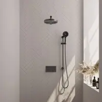 Brauer Stripe Inbouw Regendoucheset Met Drukknoppen - Rechte Wandarm - 3-standen Handdouche - Glijstang - Geborsteld Gunmetal PVD - Messing - Kranen, - Kranen, Douchekranen, Douchesets, Inbouw
