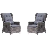 Denza Furniture Belfort wicker loungestoel tuin set van 2 | wicker + aluminium | Ash Grey 2 personen