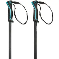 Head Skistok Frontside Carbon Black Speed Blue-130 cm