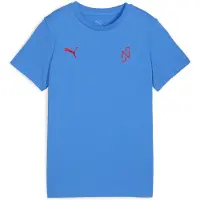 Puma Functioneel shirt blauw / rood