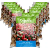 Organifer 500 Tulpenbollen - 5 Kleurrijke Soorten - Bloembollen Tulpen - Tulpen Bollen - Biologische Bloembollen Mix - (XXL Bloembollen formaat 12 cm/+) -