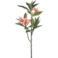 Ptmd collection PTMD Plumeria Kunstbloem - 72 x 25 x 110 cm - Kunststof - Roze
