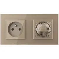 Livolo Bluetooth Speaker | Wandcontactdoos France | Goud | .nl