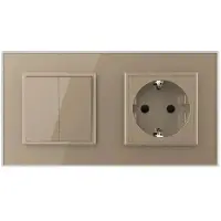 Livolo | Goud | 2+SR | Puls | Wipschakelaar met wandcontactdoos -