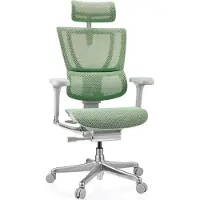 Hjh OFFICE Bureaustoel / Directiestoel ERGOHUMAN SLIM G GEN2 Netstof groen