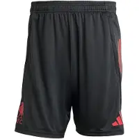 Adidas Sportbroek 'FC Liverpool Competition 2025/2026' greige / rood / zwart