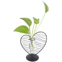 Decopatent - Metalen Hart Vaas met Glazen Buis – Decoratief Silhouet Vaasje voor Bloemen & Stekjes