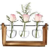Behave Stekpotjes - Glazen Vaasjes met Houten Standaard - 3-delig - Tafeldecoratie - Plantenstekkers