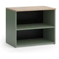 Vicco Wido TV-meubel – 60 x 50 cm met 2 compartimenten Groen