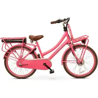 Antilope Cargo Plus N3 Elektrische Transportfiets 24 Inch 40 Cm Roze