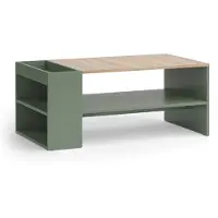 Vicco Wido Salontafel – 100 x 55 cm met planken Groen