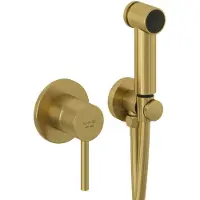 Kludi Bozz - Bidet inbouwkraan, met sproeier, met huis, geborsteld goud 38998N076