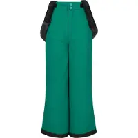 ZigZag - Kid's Soho Ski Pant W-Pro 10000 - Skibroek 98/104 - 3 Years, groen