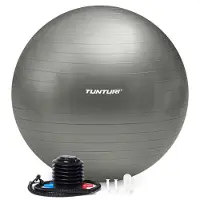 Tunturi Fitnessbal Anti-Burst - Zilver - 55 cm