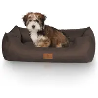 Knuffelwuff Hondenbed Dreamline van velours Bruin S 70 x 50cm
