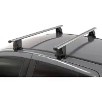 Menabo Dakdragers geschikt voor Citroën Xsara Picasso I 2000-2004 Delta zilver