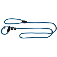 Vadigran scool leash - dit is een schoollijn geen wurglijn - voor zeer kleine hondjes Small - 6 mm x 170 cm - blauw die al kunnen wandelen