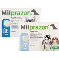 Milprazon Hond