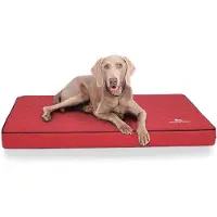 Knuffelwuff orthopedische hondenmat Juna van laser-gewatteerd kunstleer L 78x65cm rood