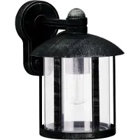 Albert Buitenlamp Holli zwart-zilver