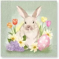 DECORATA 40 Pasen Paas Servetten - Konijn - Paasei - Tulp - Margriet - Hyacint - Bunny and Flowers - Groen - Roze - Geel - Paars - Bruin - 33 x 33 cm - 3-Laags -