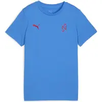 Puma Functioneel shirt blauw / rood
