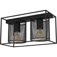 Eglo Landelijke plafondlamp Catterick 2x E27