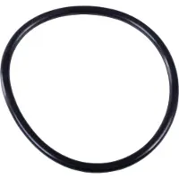 VETUS Ftr330 Water Filter O-ring Zwart