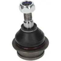Delphi ONDERSTE FUSEEKOGEL TC834 Delphi voor o.a. NISSAN