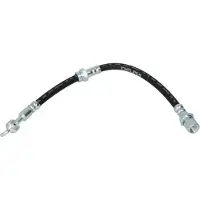 Delphi Remslang LH6746