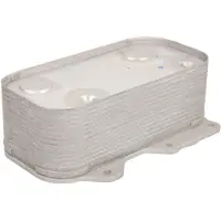 THERMOTEC Olie radiator, motorolie D4A012TT