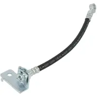 Delphi LH7745 Remslang