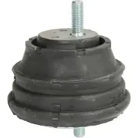 REINHOCH RH11-3009 Motorsteunlager