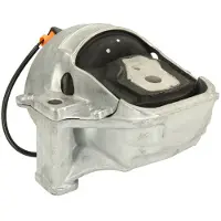 REINHOCH RH11-0079 Motorsteunlager