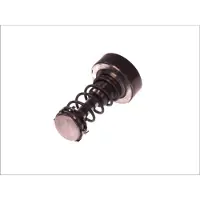 Bosch Zuiger, common rail pomp F 01M 101 355