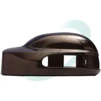 SPJ Buitenspiegel - bekleding V-0147