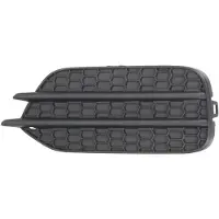 BLIC 6502-07-9548915DP Ventilatiegrille, bumper
