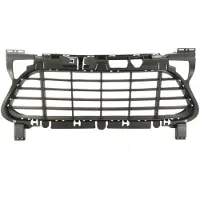 BLIC 6502-07-5721915PP Ventilatiegrille, bumper