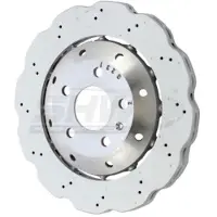 SHW Remschijf ARX48221 achter, geventileerd, sterk gecarboniseerd, 1 Stuk