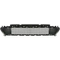 BLIC 6502-07-3208910P Ventilatiegrille, bumper