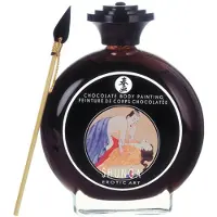Shunga - Eetbare Bodypaint Chocolate