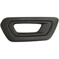 BLIC 6502-07-2517994P Ventilatiegrille, bumper