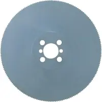 Promat /Tecwerk Metaalcirkelzaagblad | tandvorm C | zaagblad-d. 315 mm breedte 2,5 mm | HSS-Co borings-d. 40 mm | Z.120 - 4000814222