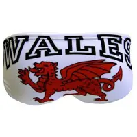 Turbo Wales Dragon Swimming Brief Wit 5-6 Years Jongen