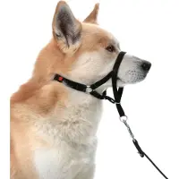 Flamingo Easy Leader - Hoofdhalsband Honden - Halsband Easy Leader Zwart Xl 55-74cm 15mm