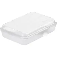 Rotho lunchbox FUN 0,45 l, plat (16 x 11 x 4 cm) transparant 450 ml